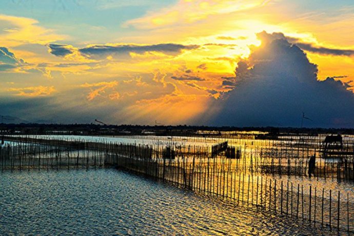 Xuôi Về Đầm Chuồn Ngắm Hoàng Hôn Thưởng Thức Hải Sản