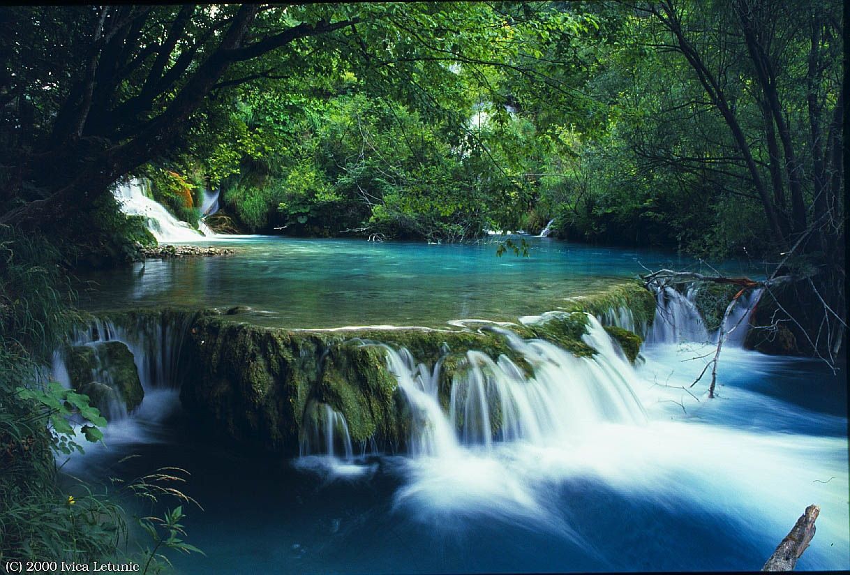 Ngu Ho at Bach Ma National Park